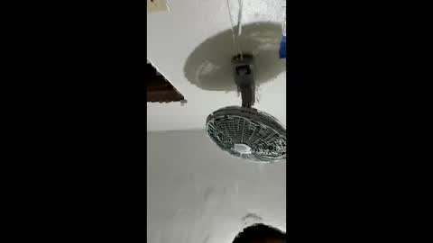 carlos201648 online show from 02.02.26