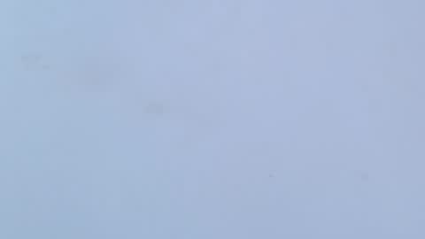 Snapshot of caro_loving chatting on 02.16.26 caro online show from 02.16.26