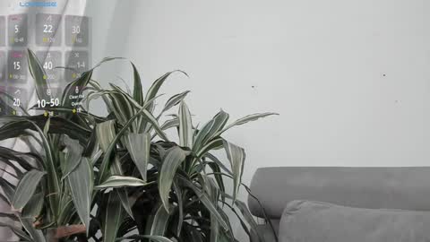 carolina_t online show from 01.22.25