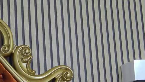 carolinahart online show from 03.24.26