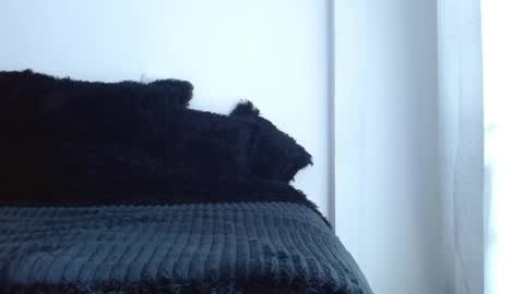 caroline online show from 04.01.26