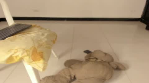 Snapshot of carolinnagomez chatting on 03.11.26 Caro online show from 03.11.26