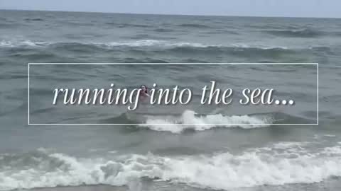 carrie madsin online show from 12.02.25