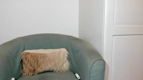cassiecute - onlyfans account online show from 07.04.26