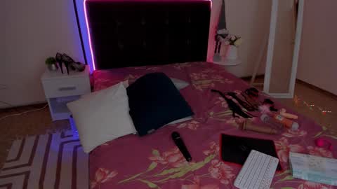 Snapshot of cassieevanss chatting on 01.17.25 Cassie online show from 01.17.25