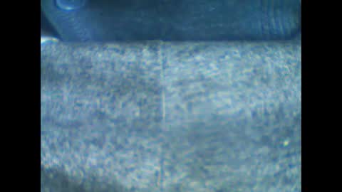 castells online show from 01.18.26