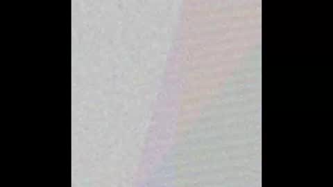 Bakewell Trixie  online show from 01.15.26