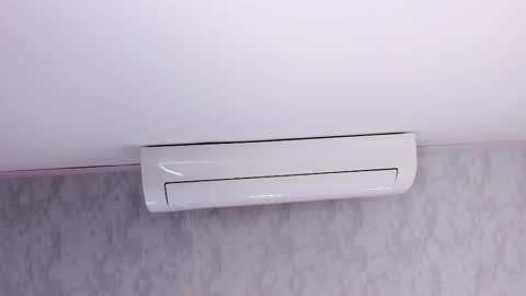   online show from 02.25.25