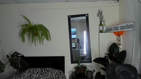 Snapshot of catalinalince chatting on 12.22.24 Cataina Lince online show from 12.22.24