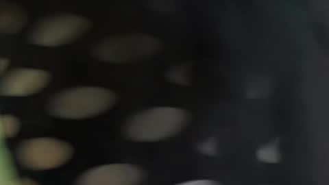 cattleyascaly online show from 09.25.25