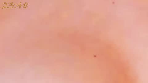 Snapshot of catty_foxx chatting on 01.25.25 online show from 01.25.25