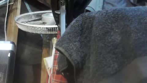 caughtnaked online show from 04.01.26