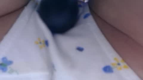 Snapshot of cbz112233 chatting on 02.26.25 ANNYANNY online show from 02.26.25