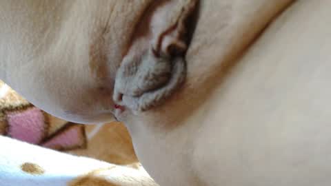 ANNYANNY online show from 03.04.26