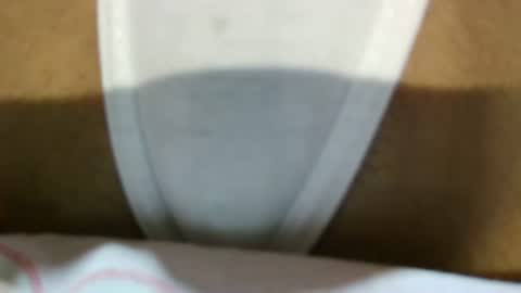 Snapshot of celestestephan chatting on 01.29.25 celestestephan online show from 01.29.25