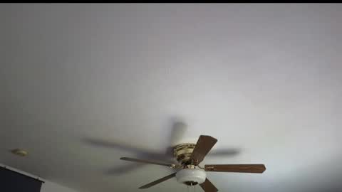 Marie online show from 04.07.26