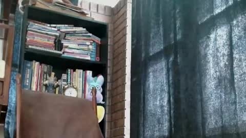 cguffey2284 online show from 02.18.25