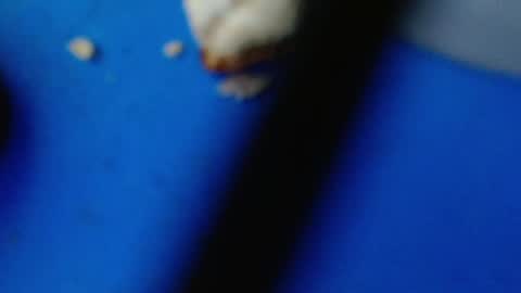 cguffey2284 online show from 03.07.25