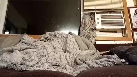 Chad420247 online show from 02.11.26