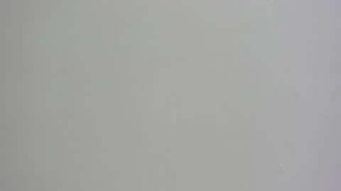 Channel online show from 11.01.25