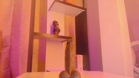 Snapshot of chantall_valkoba chatting on 01.07.25 Chantall online show from 01.07.25