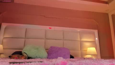    online show from 11.12.25