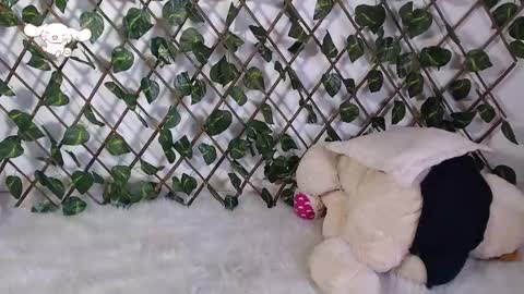 charly_evans60 online show from 02.25.25