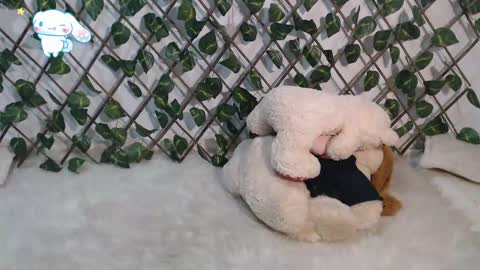 charly_evans60 online show from 03.02.25