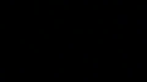 NY Daddy online show from 10.20.25