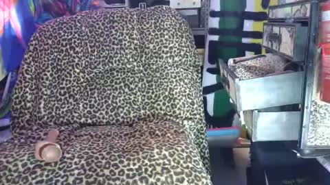 Sah009XXX online show from 03.07.26