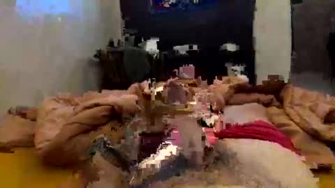 Snapshot of chasejase20333 chatting on 02.02.26 chasejase20333 online show from 02.02.26