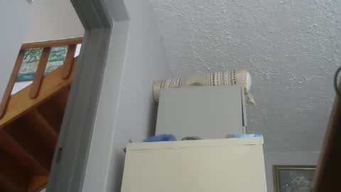 Snapshot of chaturbatordeluxe chatting on 02.22.25 chaturbatordeluxe online show from 02.22.25