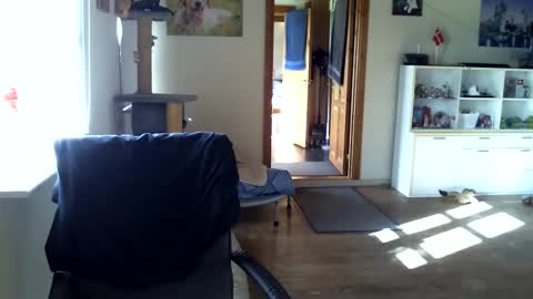 chefben666 online show from 10.16.25