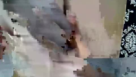 Snapshot of chekyguys chatting on 02.23.26 Keve Meddy online show from 02.23.26