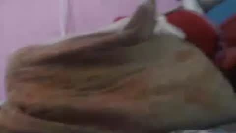 Cheila online show from 04.20.26