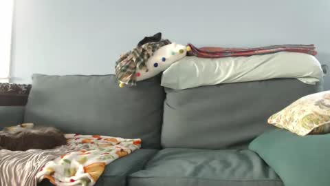 Chelsea online show from 12.27.24