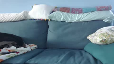 Chelsea online show from 01.15.25