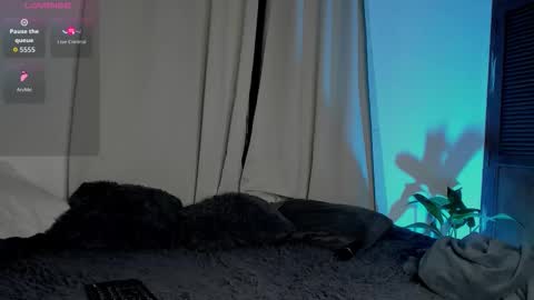 Cherry Lady online show from 01.11.26