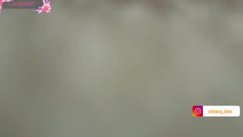 Chiara Lovense is active Pvt open online show from 12.12.24