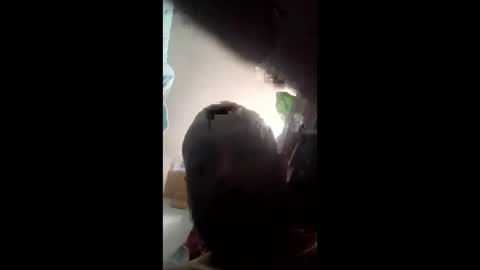 chko76 online show from 04.06.26