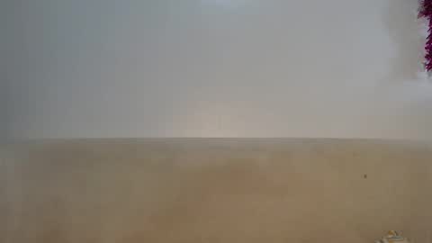 Lofti online show from 04.03.26