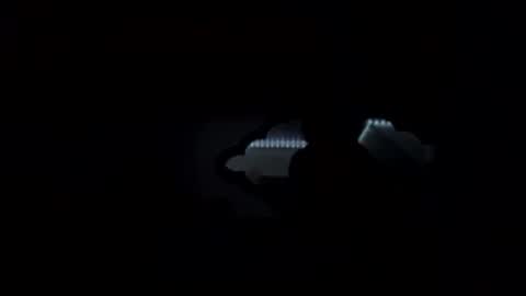 chompers online show from 03.30.26