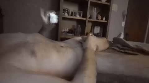 chrisw8121 online show from 02.06.26