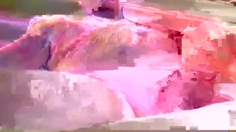 chummy50222 online show from 12.08.24