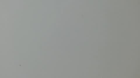 cinthia1609 online show from 02.11.25