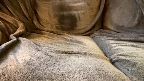 join the circle online show from 12.02.24