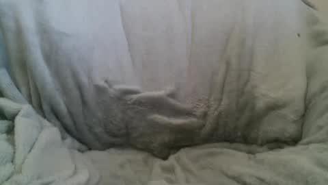 Snapshot of circumsizedbandit chatting on 02.10.25 circumsizedbandit online show from 02.10.25