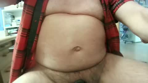 Circus Bear online show from 03.24.26