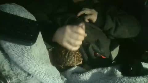 cisalo2501 online show from 02.07.26