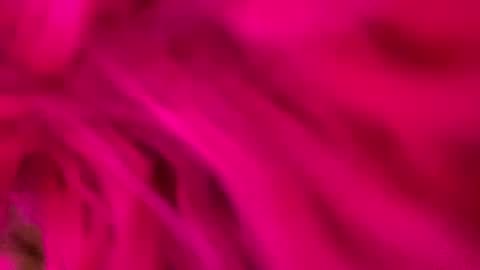 clarkshammer95 online show from 03.03.25